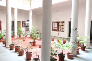 ncsve (5)