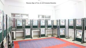 ncsve (6)