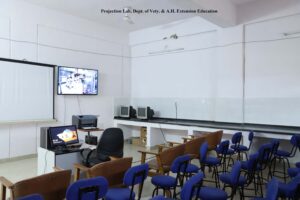 ncsve (7)